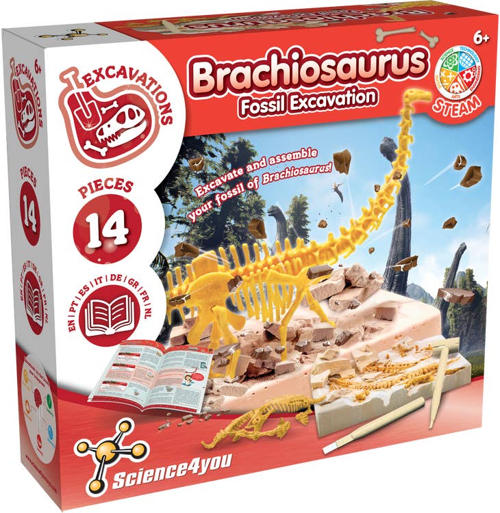 Science4you - Brachiosaurus fossil utgrävning Experiment