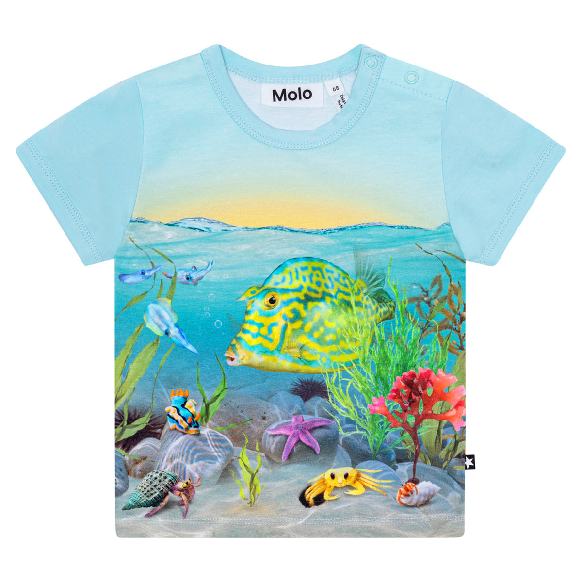 Molo T-shirt Easy Tropic Sea T