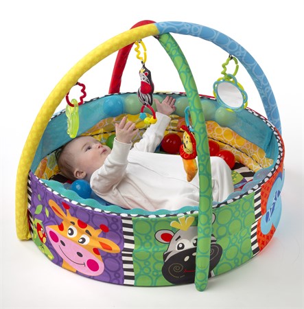 Playgro Ball Babygym