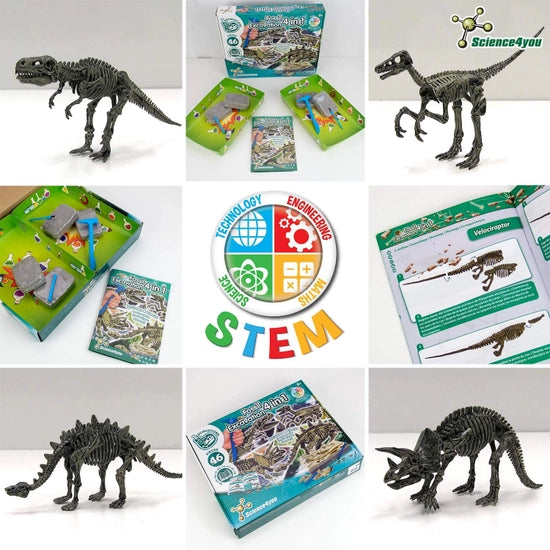 Science4you -Fossil utgrävning 4 in 1