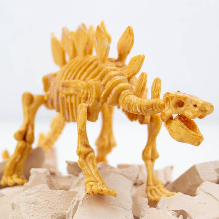 Science4you - Stegosaurus fossil utgrävning Experiment